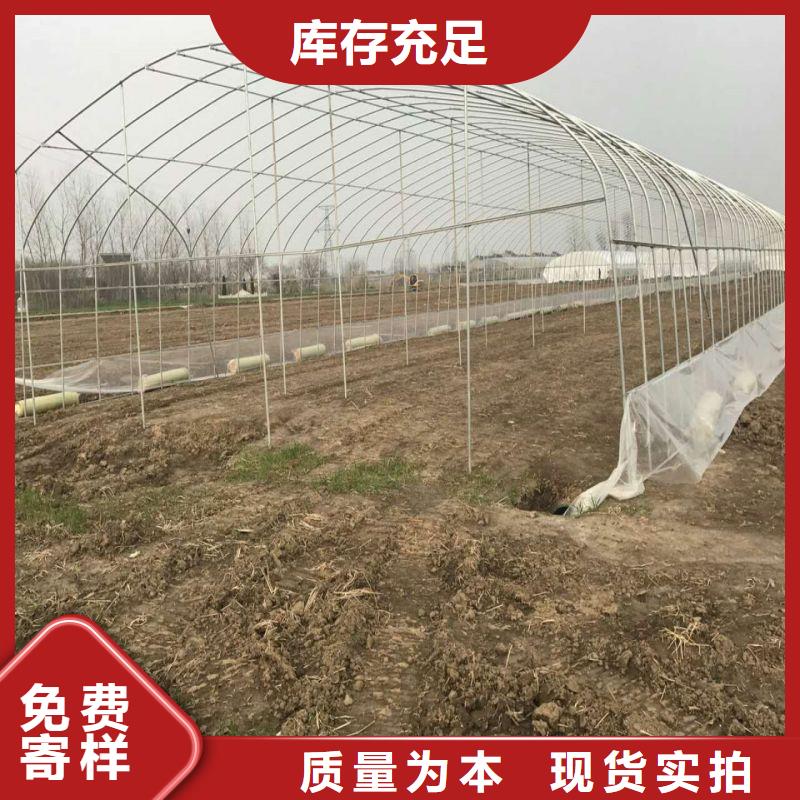 大棚管2,溫室大棚管實(shí)力廠家