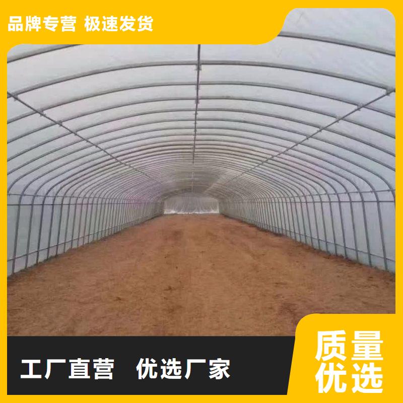 大棚管2溫室大棚管現貨實拍