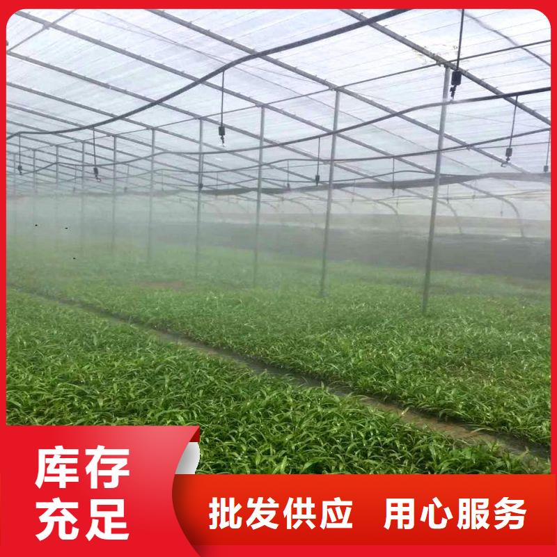 大棚管2蔬菜溫室大棚管甄選好廠家