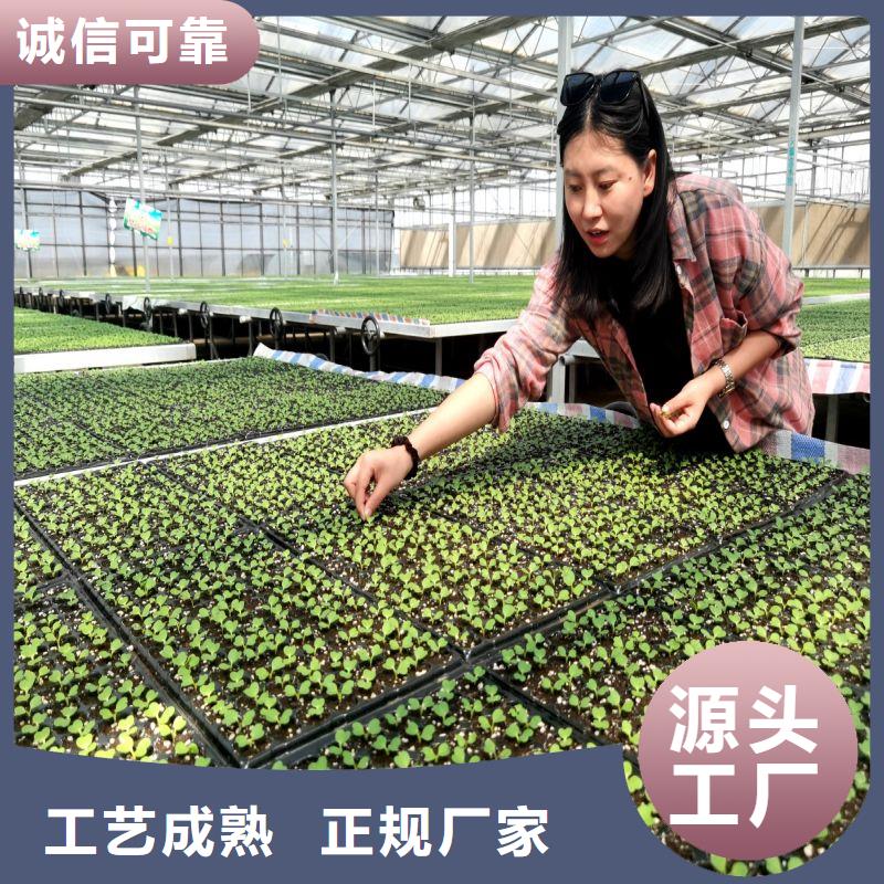 大棚管2_溫室骨架大棚管廠家品控嚴格