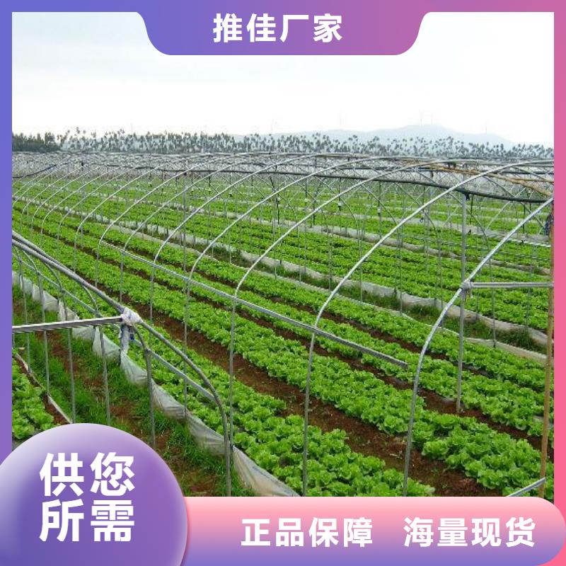 大棚管支持定制加工
