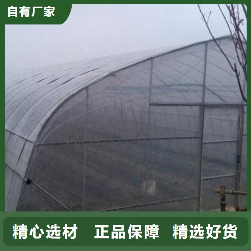 大棚管,鍍鋅大棚管歡迎來廠考察
