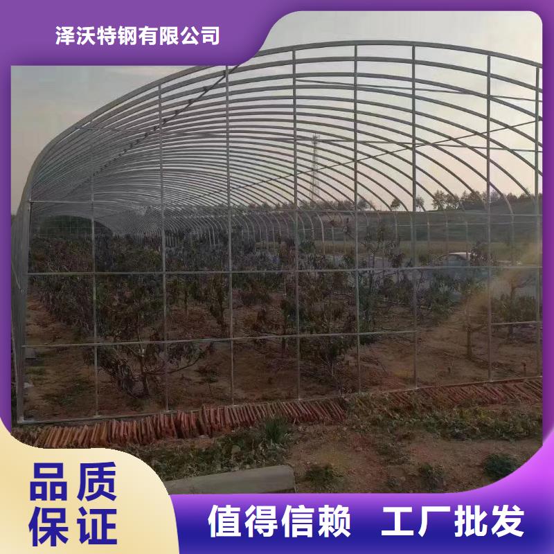 大棚管農(nóng)業(yè)養(yǎng)殖大棚管閃電發(fā)貨