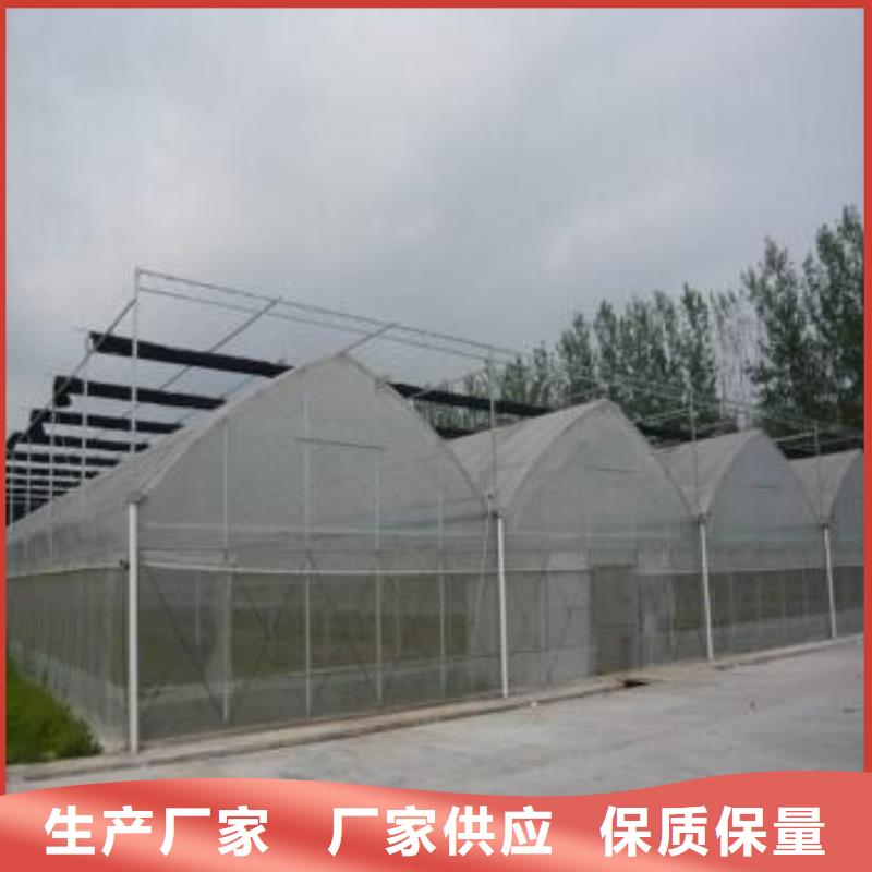 大棚管,鍍鋅大棚管歡迎來廠考察