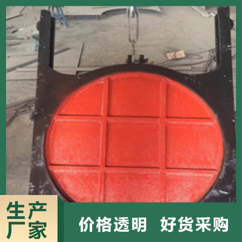 鑄鐵閘門格柵回轉式除污機多行業適用