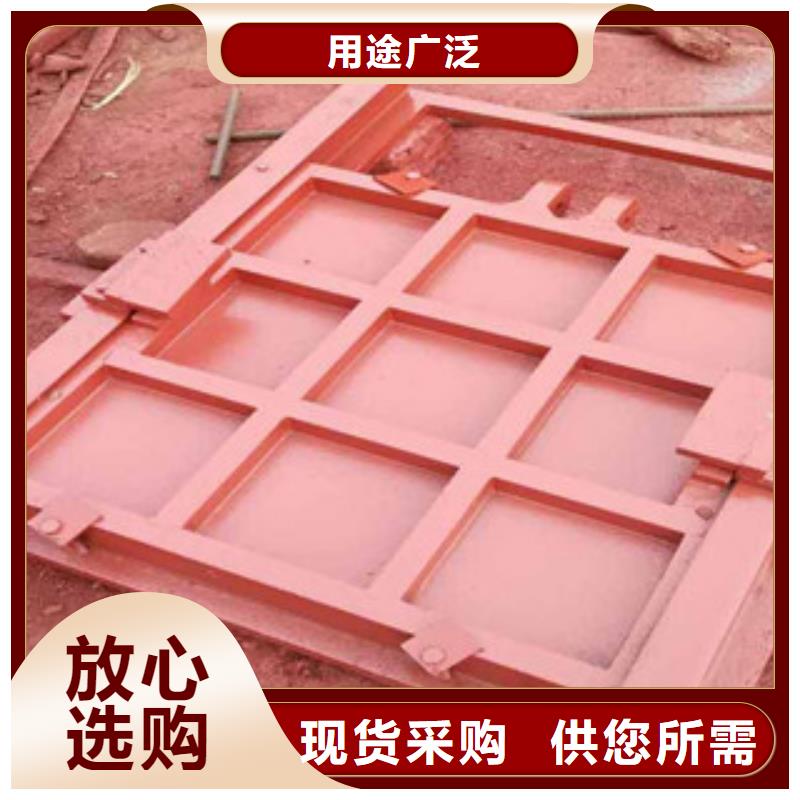 鑄鐵閘門-液壓升降壩多年實力廠家