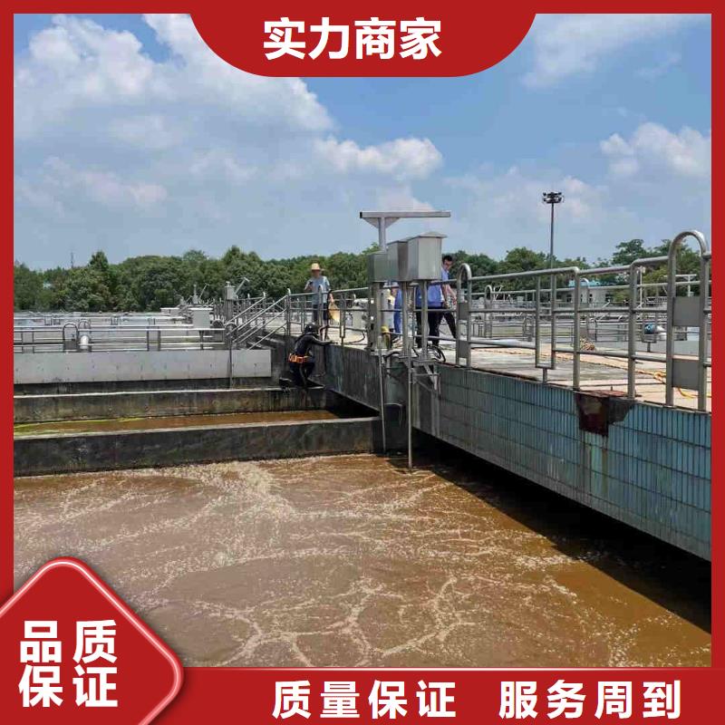 蛙人服務公司-專業打撈隊