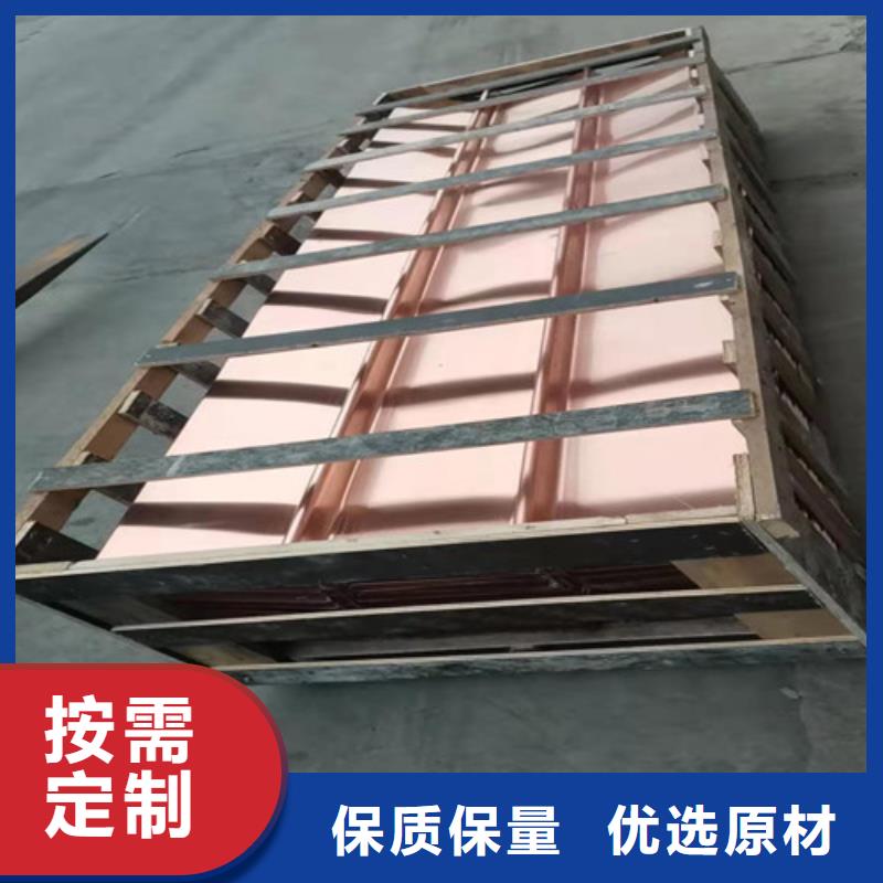 銅排銅片凸結(jié)點鋼塑土工格柵專業(yè)品質(zhì)
