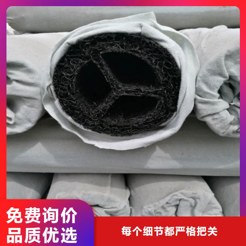 【盲溝盲管】_單向塑料土工格柵以質量求生存