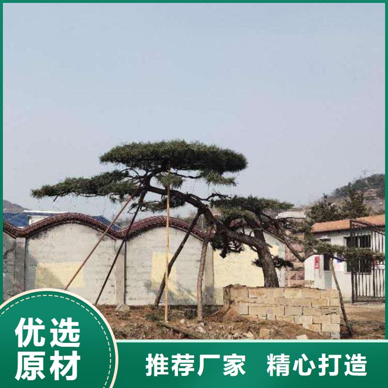 造型松對質量負責