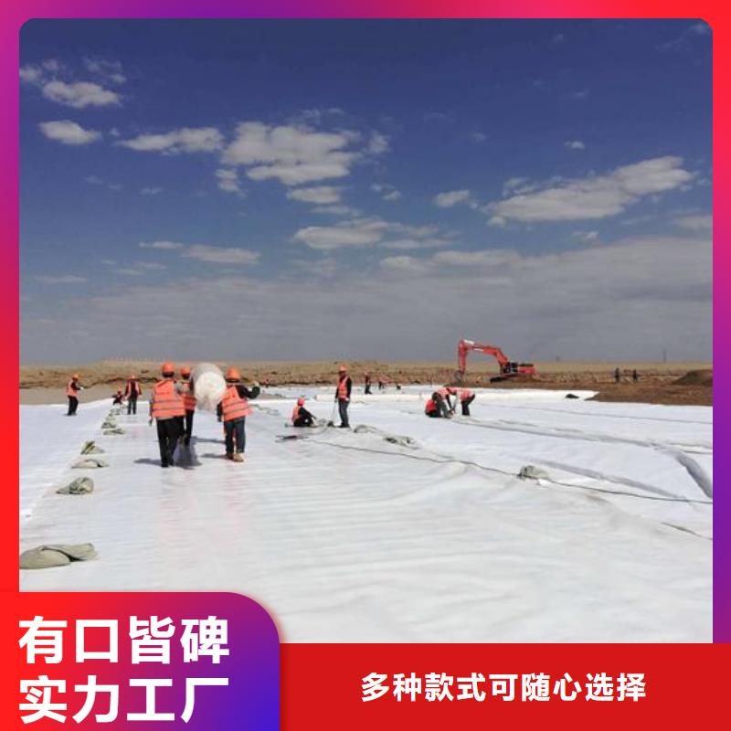 土工布【防滲復(fù)合土工膜】實(shí)力優(yōu)品
