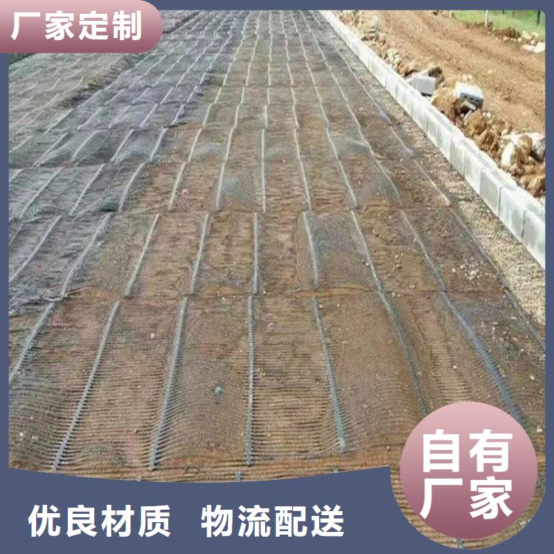 單向塑料土工格柵土工HDPE膜貨源報價