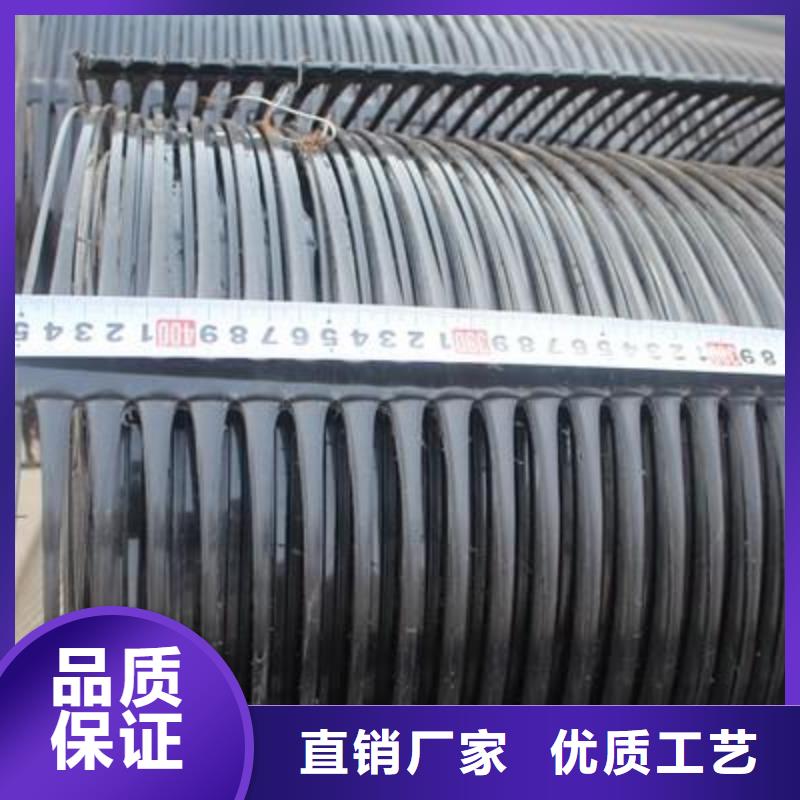 單向塑料土工格柵土工濾網誠信商家