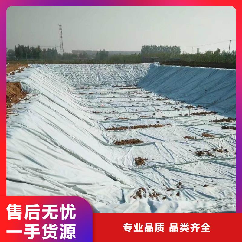 復(fù)合土工膜防滲土工膜廠家現(xiàn)貨供應(yīng)