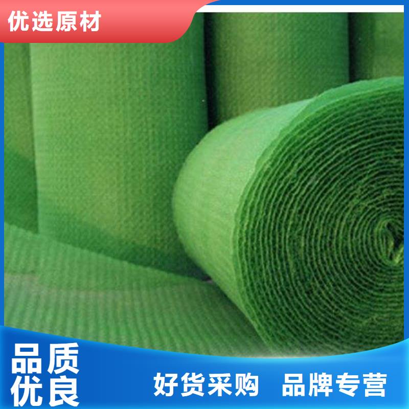 三維植被網毛細排水板工藝精細質保長久