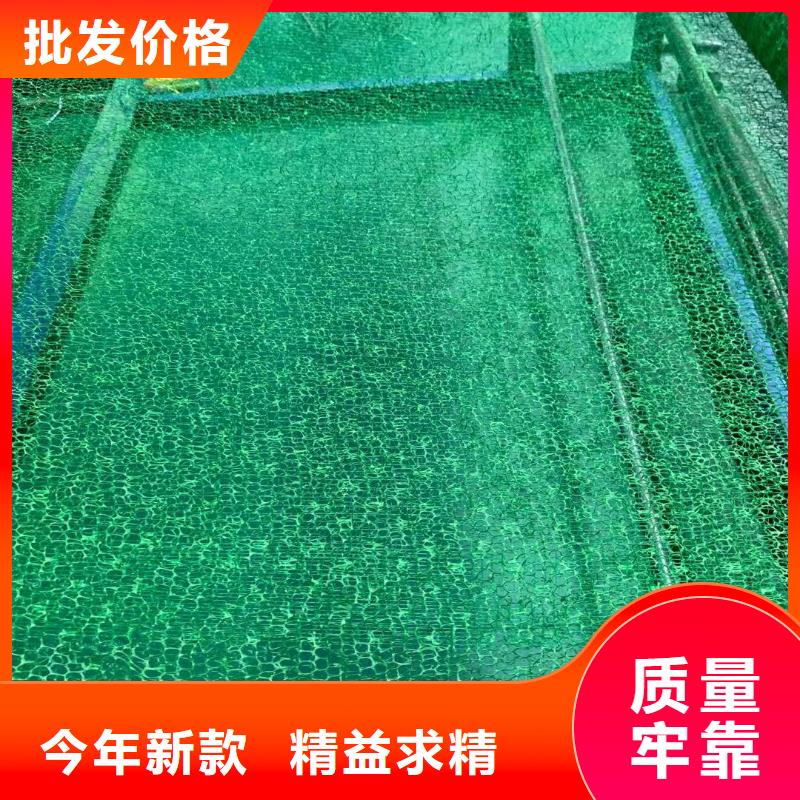 三維植被網(wǎng)HDPE黑色土工膜一站式供應(yīng)廠家