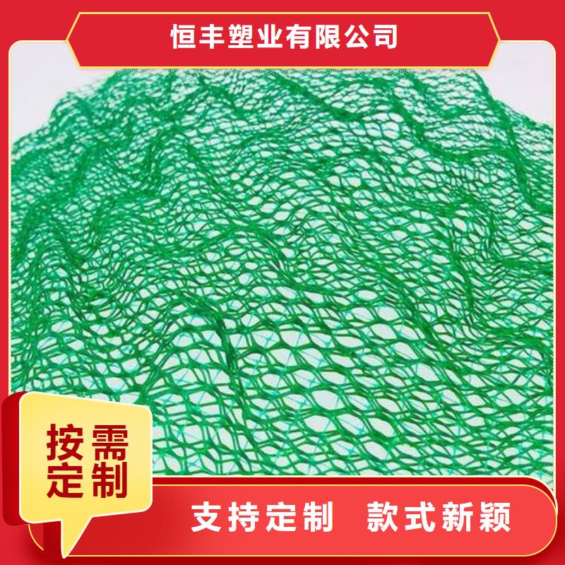 三維植被網(wǎng)土工濾網(wǎng)廠家供應(yīng)
