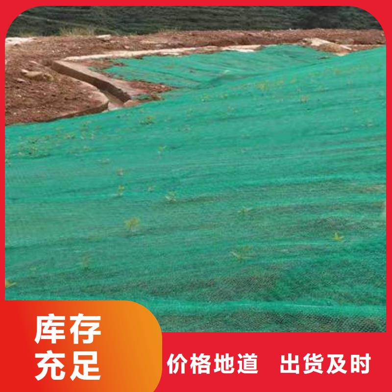 三維植被網(wǎng)HDPE黑色土工膜一站式供應(yīng)廠家