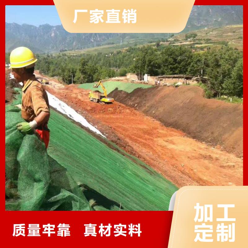 三維植被網毛細排水板工藝精細質保長久