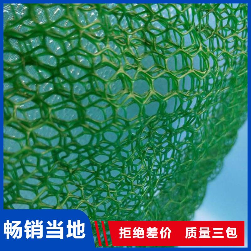 本地<恒丰>三维植被网,三维复合排水网,HDPE防渗膜
