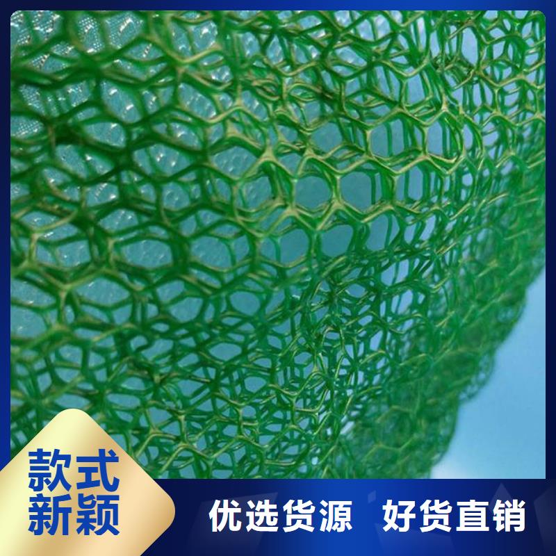 三维植被网生产厂家生产高质量三维植被网-三维土工网