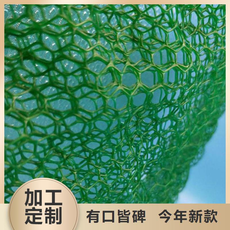 快速生产《恒丰》三维植被网-三维复合排水管