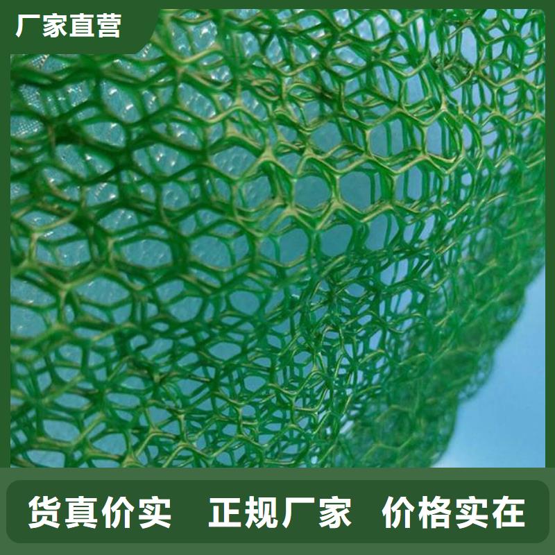 厂家型号齐全《恒丰》三维植被网|三维网垫植草护坡|三维土工网垫厂家