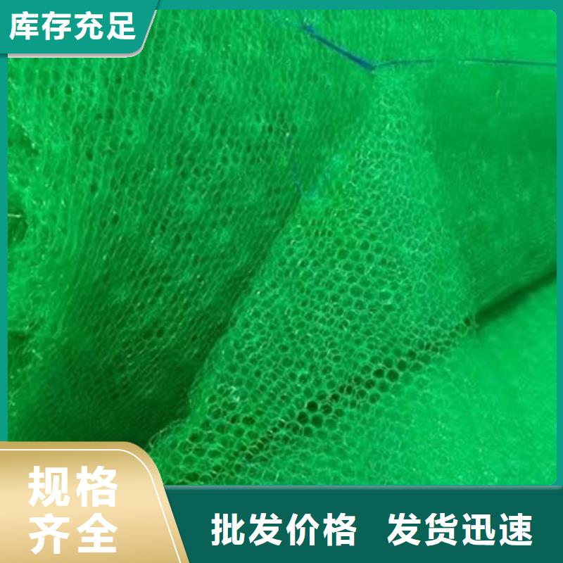 优选<恒丰>植生毯|三维植被网厂家|椰丝毯|三维抗侵蚀防护毯