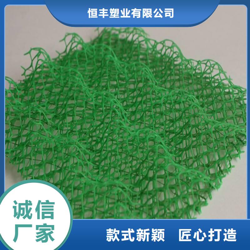 三维植被网|三维土工网垫【三维植被网厂家