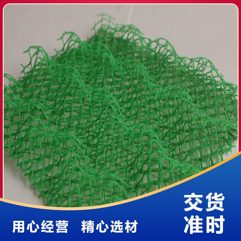 同行低价恒丰三维植被网|三维土工网垫【三维植被网厂家