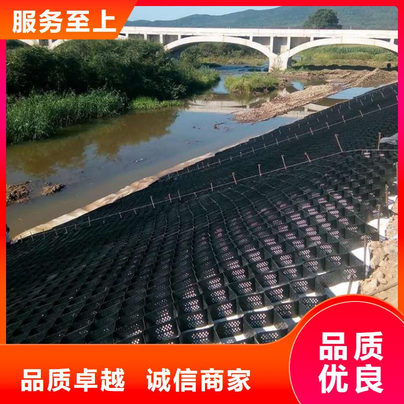 土工格室雙向塑料土工格柵源頭把關放心選購