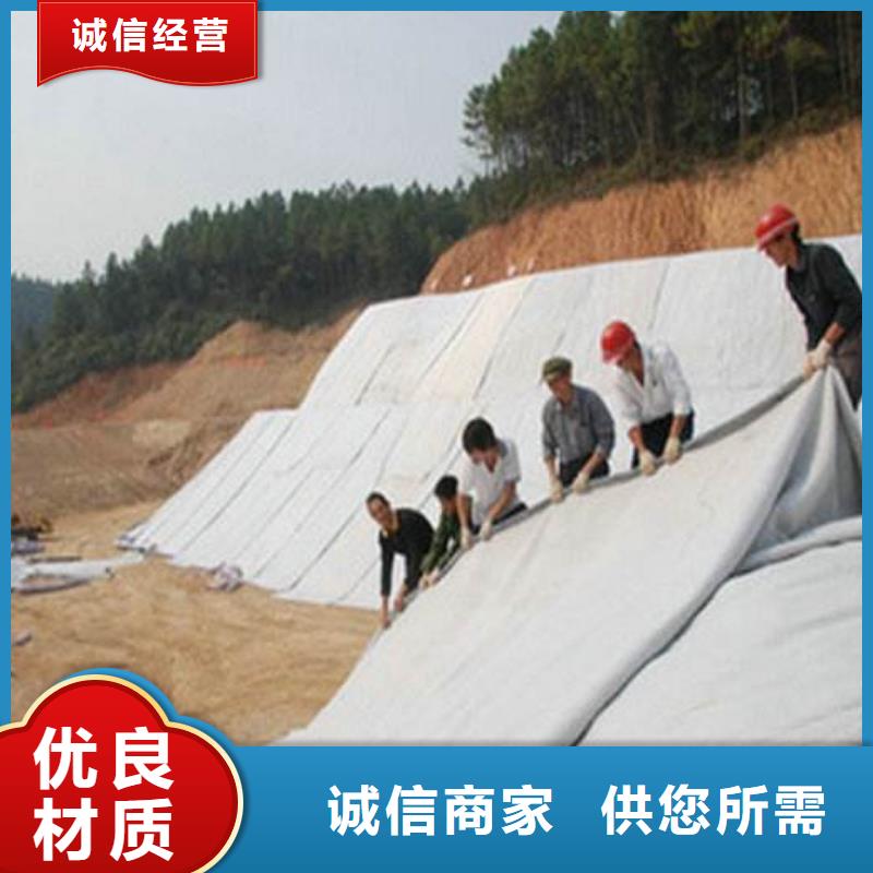 膨潤土防水毯鋼塑土工格柵廠家直銷直供