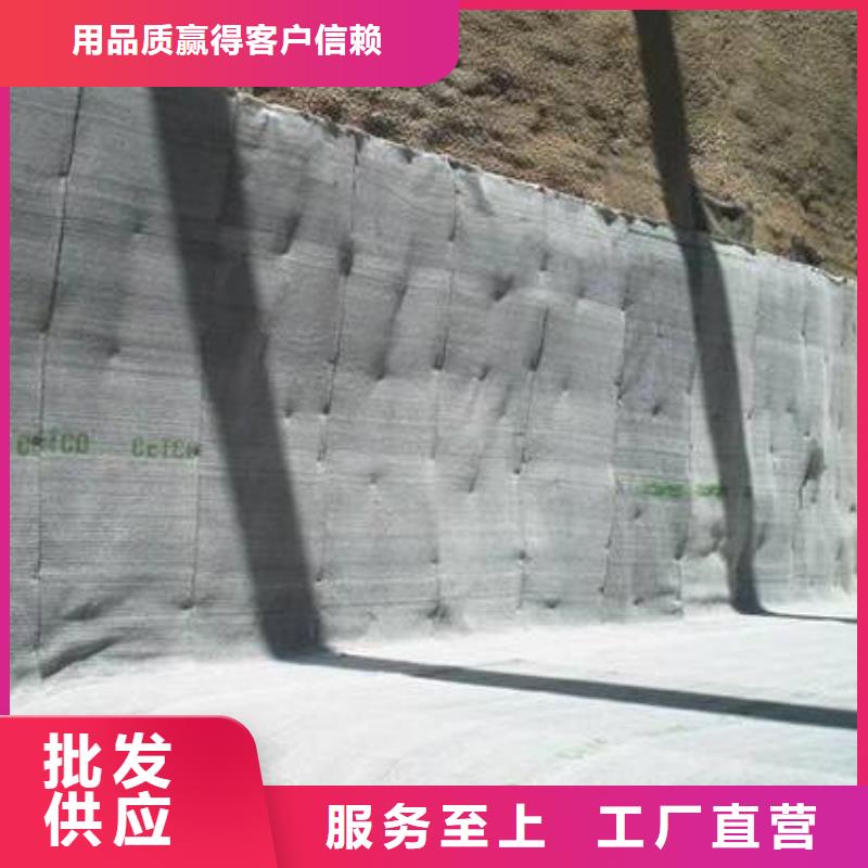 保亭县HDPE土工膜-防渗土工膜厂家-土工布厂家-膨润土防水毯