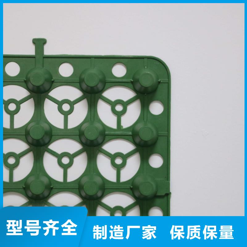 排水板PP焊接土工格柵實拍品質(zhì)保障