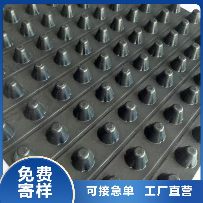排水板三維植被網(wǎng)多種規(guī)格供您選擇