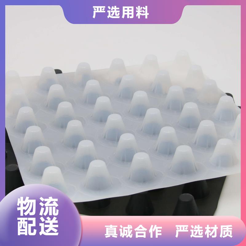 排水板復(fù)合土工膜隨心所欲定制