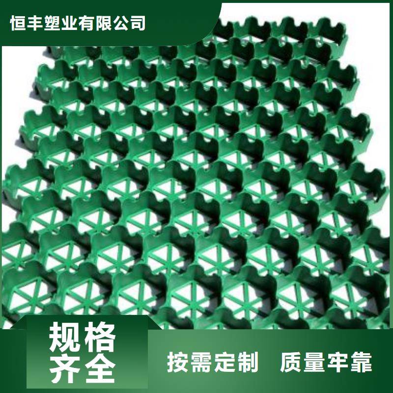 植草格單向塑料土工格柵廠家直銷省心省錢