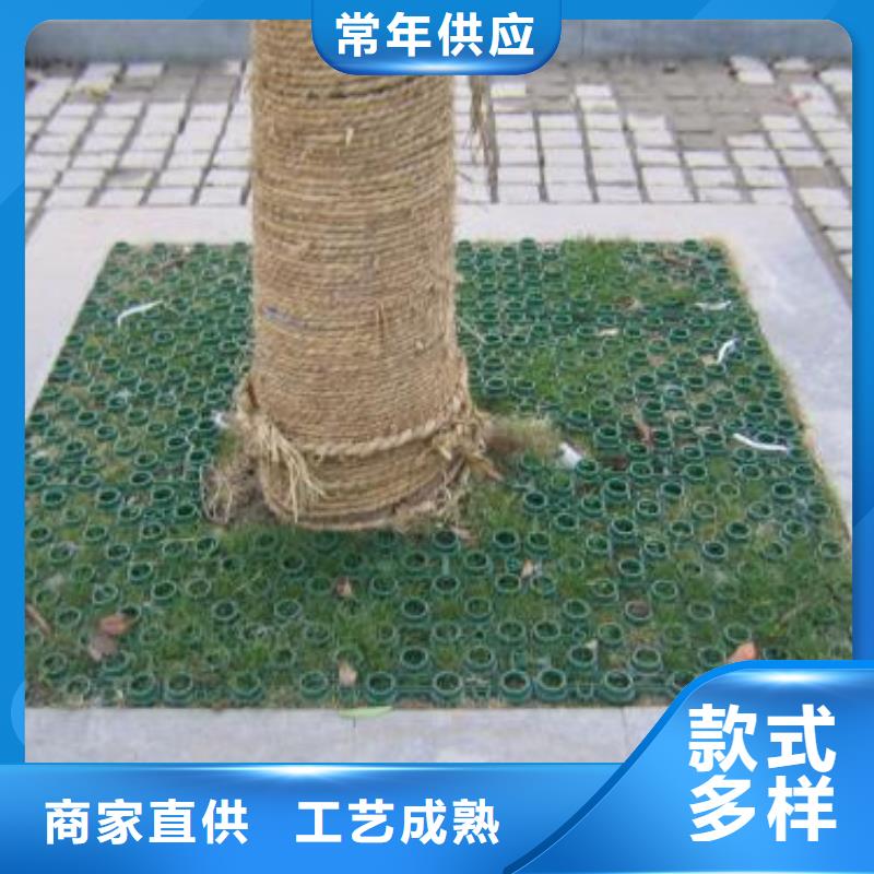 植草格_雙向塑料土工格柵支持批發零售
