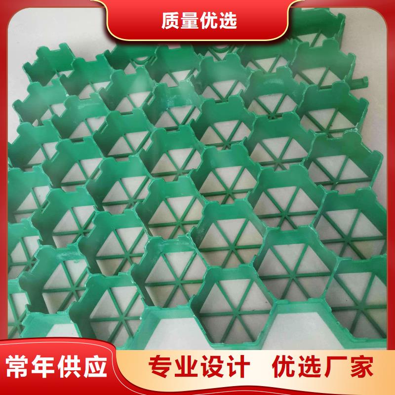 植草格單向塑料土工格柵廠家直銷省心省錢