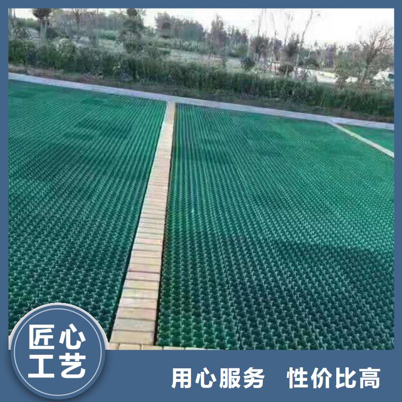 植草格復合土工膜專業生產團隊