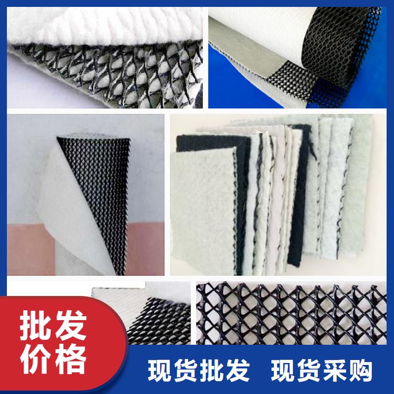 三維復合排水網滌綸土工格柵N年專注