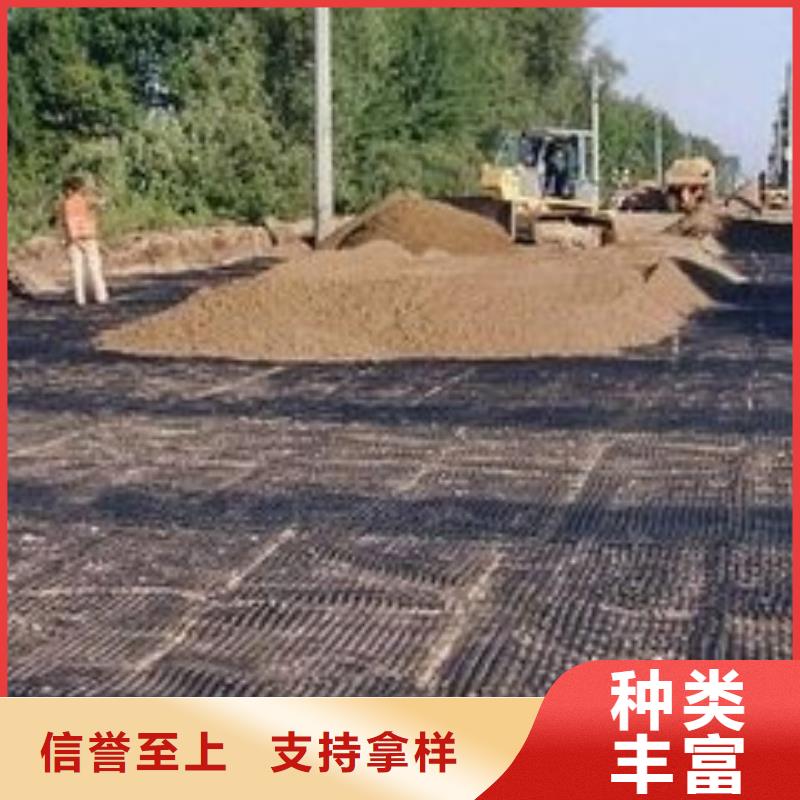 pp焊接土工格柵三維土工網(wǎng)墊實力優(yōu)品