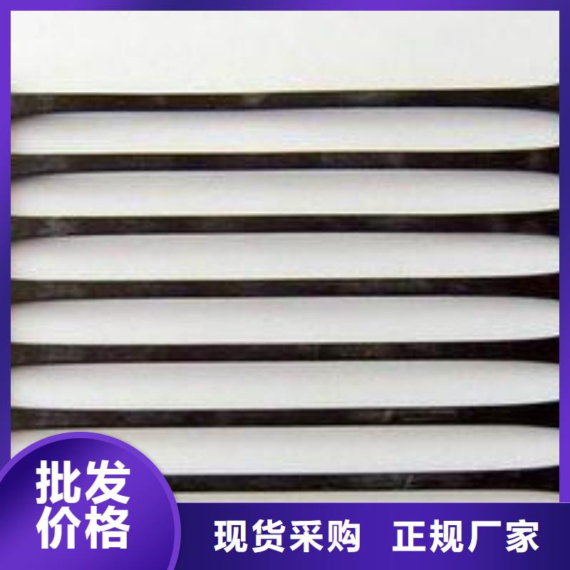 塑料土工格柵三維土工網墊多年廠家可靠