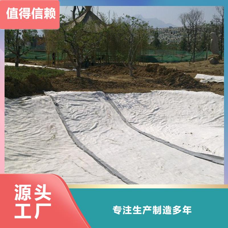 膨潤土防水毯復合土工膜自營品質有保障