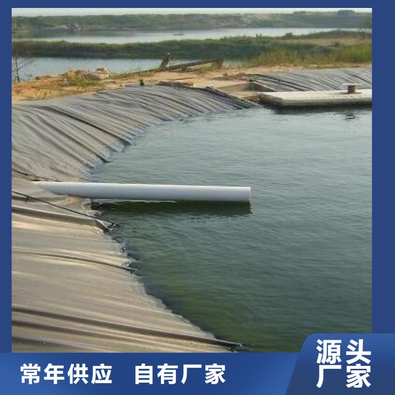 土工膜玻纖土工格柵生產型