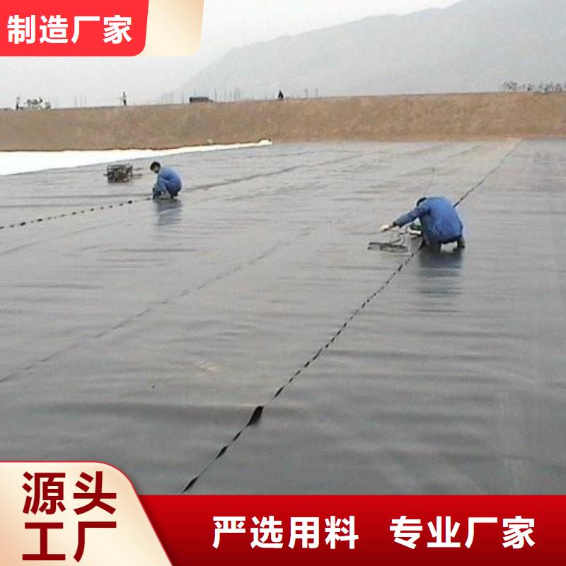 土工膜護坡土工網價格實惠工廠直供