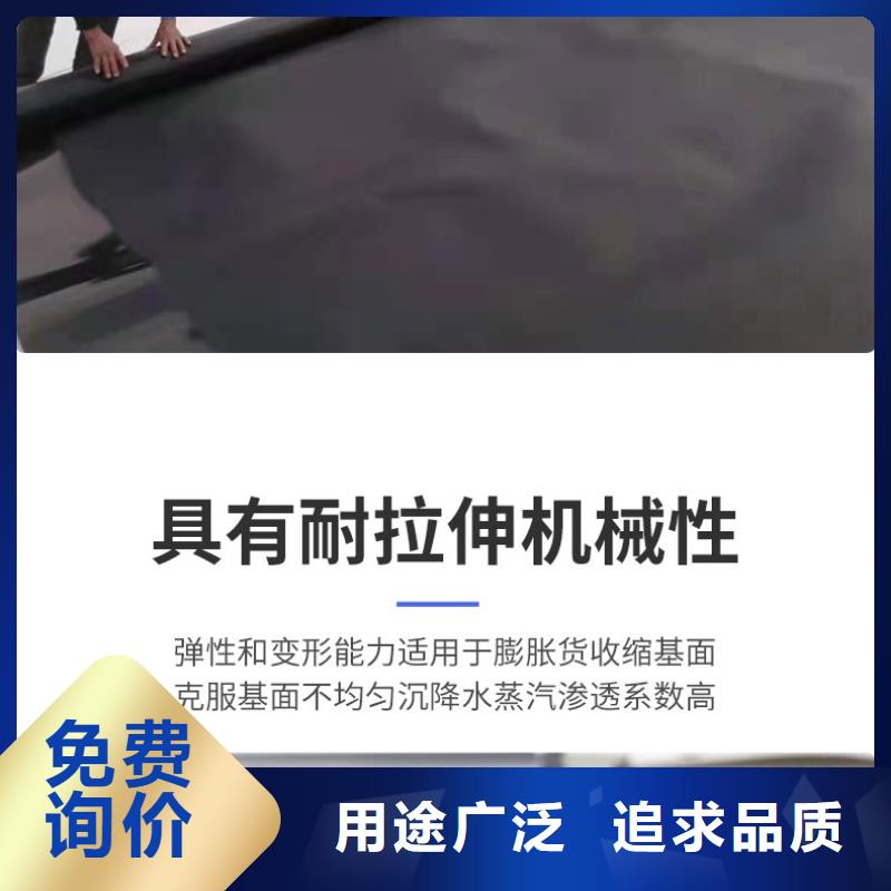 土工膜護坡土工網價格實惠工廠直供