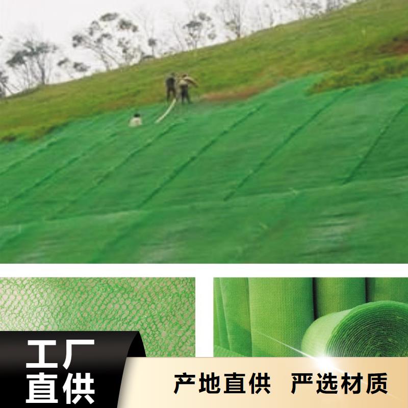 三維植被網土工布海量現貨