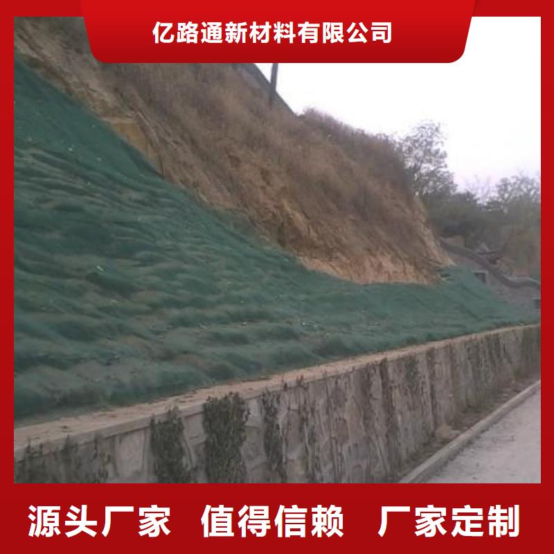 三維植被網鋼塑土工格柵支持貨到付清
