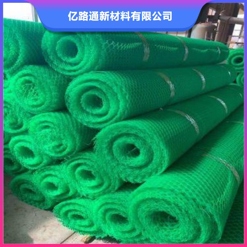 三維植被網玻纖土工格柵匠心制造